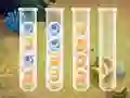 Sort Bubbles — free online game