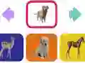 Baby Animal — free online game