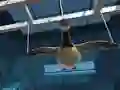 Goose Museum — free online game