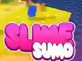 Sumo Slime 3D — free online game