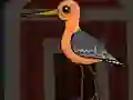 Cute Godwit Escape — free online game