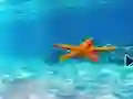 Escape From Underwater Starfish — free online game