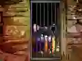 Hidden Cat Escape — free online game