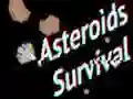 Asteroids Survival — free online game
