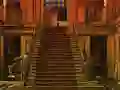 Dog Way Out