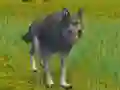 Гульня The Wolf: Wild Animal Simulator онлайн