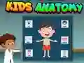 Kids Anatomy — free online game