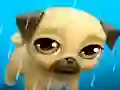 My Virtual Pet Louie the Pug — free online game