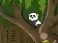 Panda Jungle Escape — free online game
