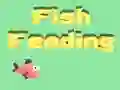 Fish Feeding — free online game