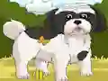 Dogs Spot the Diffs Part 2 — free online game