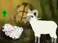 Help The Baby Sheep — free online game