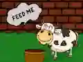 Find The Cow Feed — free online game