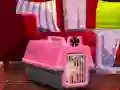 Escape The Small Pug — free online game