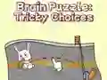 Brain Puzzle: Tricky Choices — darmowa gra online