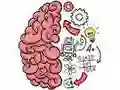 Brain Test — free online game