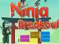 Ninja Breakout — free online game