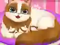 Cute Kitty Pregnant — free online game