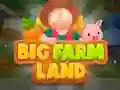 Big Farm Land — free online game