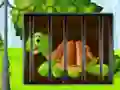 Turtle Fiery Escape — free online game