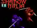 Shadow of the Ninja — free online game
