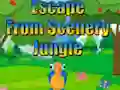 Escape from Scenery Jungle — free online game