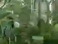 Hra Mystery Garden Escape