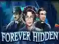 Forever Hidden — free online game