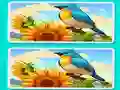 Spot the Difference The Garden — free online game