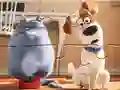 Игра Jigsaw Puzzle: The Secret Life Of Pets 2 онлајн