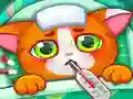 Animal Pet Care — free online game