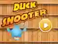 Duck Shooter Pro — free online game