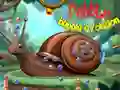 Pebble Bubble Evolution — free online game