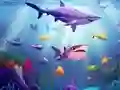 Find It Find The Differences — free online game