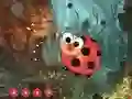 Cute Ladybug Land Escape — free online game