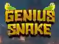 Genius Snake — free online game