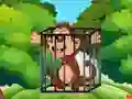 Free the Captive Ape — free online game