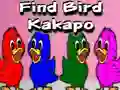 Find Bird Kakapo — free online game
