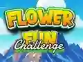 Spel Flower Fun Challenge på nätet