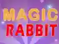 Magic Rabbit — free online game