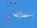 Oceans Shees — free online game