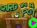 Bird In A Pot — 免費線上遊戲