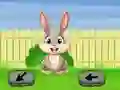 Springtime Escape — free online game