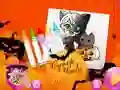 Chibi Sup Coloring — free online game