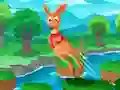 Hop Kangaroo Hop — free online game