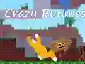 Crazy Bunnies — free online game
