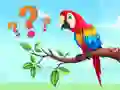 Kids Quiz: Guess The Birds — free online game