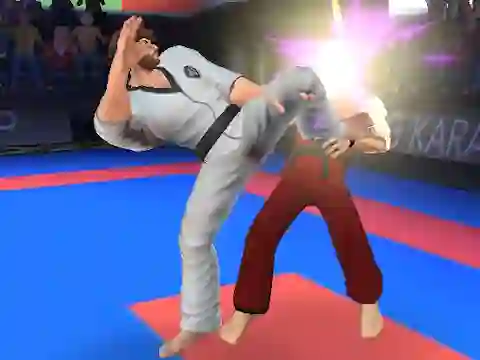 Karate Fighter — free online game