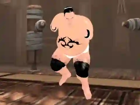 Sumo Fury — free online game