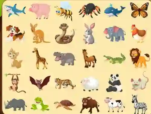 Discover Animals — free online game